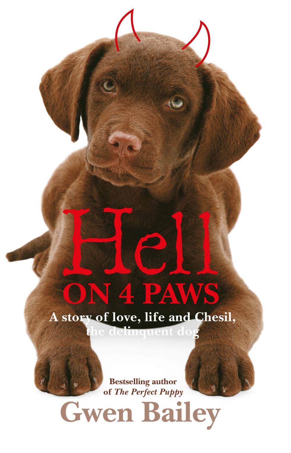 Big bigCover of Hell on 4 Paws