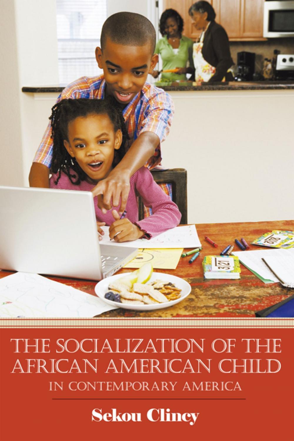 Big bigCover of The Socialization of the African American Child: