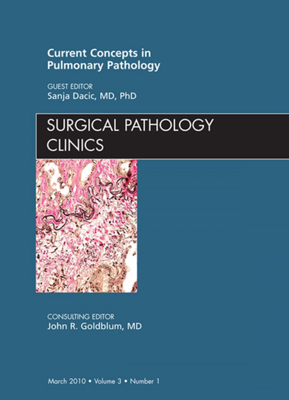 Big bigCover of Current Concepts in Pulmonary Pathology, An Issue of Surgical Pathology Clinics - E-Book