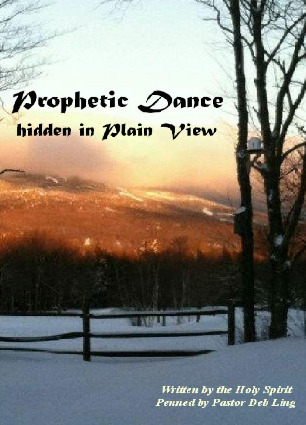 Big bigCover of Prophetic Dance: Hidden in Plain View