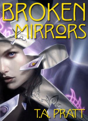 Cover of the book Broken Mirrors by Angie West