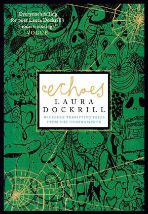 Cover of the book Echoes by Maeve Friel