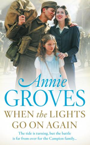 Cover of When the Lights Go On Again by Annie Groves, HarperCollins Publishers
