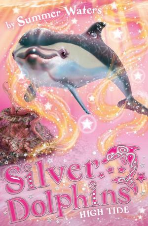bigCover of the book High Tide (Silver Dolphins, Book 9) by 