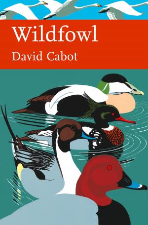 Cover of the book Wildfowl (Collins New Naturalist Library, Book 110) by Buffy Andrews