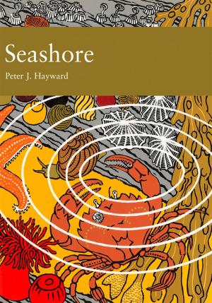 Cover of the book Seashore (Collins New Naturalist Library, Book 94) by Jean Ure