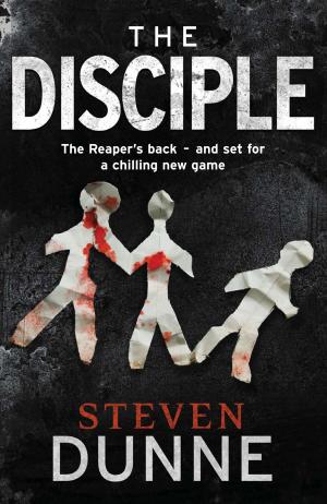 Cover of the book The Disciple by Joseph Polansky