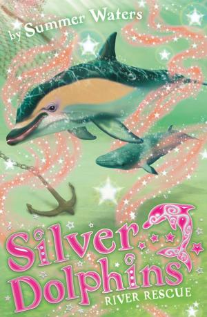 Cover of the book River Rescue (Silver Dolphins, Book 10) by Andrew Taylor