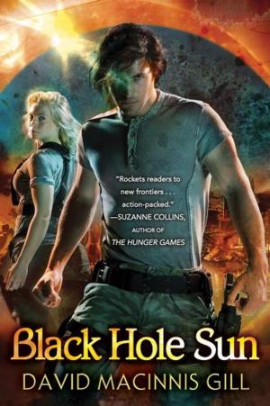 Cover of the book Black Hole Sun by Gwenda Bond, Chistopher Rowe