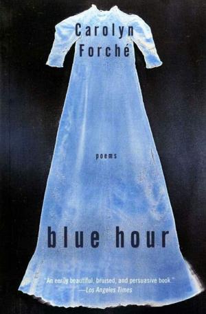Book cover of Blue Hour