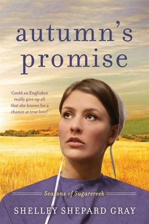 Book cover of Autumn's Promise