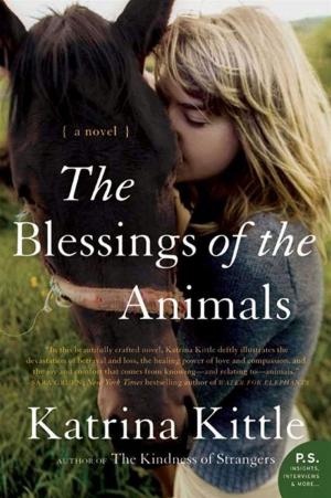 Cover of the book The Blessings of the Animals by Bill Bryson
