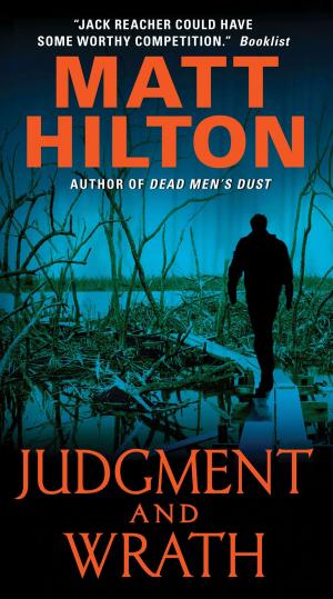 Cover of the book Judgment and Wrath by A M Homes