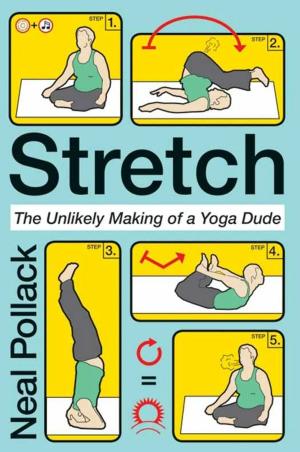 Book cover of Stretch