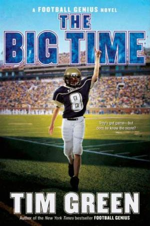Cover of the book The Big Time by Rob Scotton