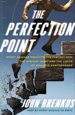 Cover of the book The Perfection Point by Joanne Harris