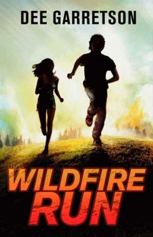 Cover of the book Wildfire Run by Melissa Marr