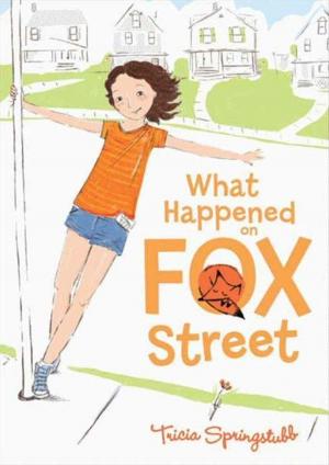 Cover of the book What Happened on Fox Street by Julie Murphy