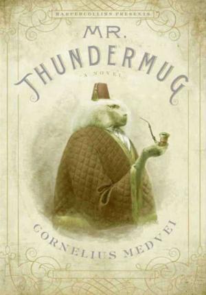 Cover of the book Mr. Thundermug by Scott Heim