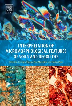 Cover of the book Interpretation of Micromorphological Features of Soils and Regoliths by Andrew Siegel