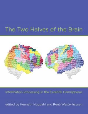Cover of The Two Halves of the Brain: Information Processing in the Cerebral Hemispheres