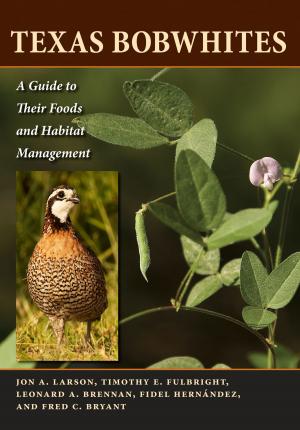 bigCover of the book Texas Bobwhites by 