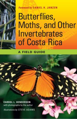 Book cover of Butterflies, Moths, and Other Invertebrates of Costa Rica
