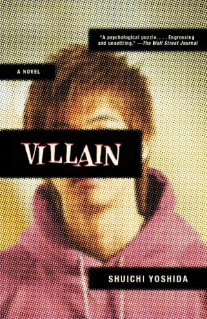 Book cover of Villain