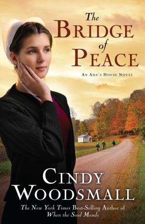 Cover of the book The Bridge of Peace by Linda Lee Chaikin
