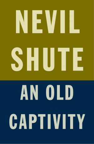 Cover of the book An Old Captivity by John Banville