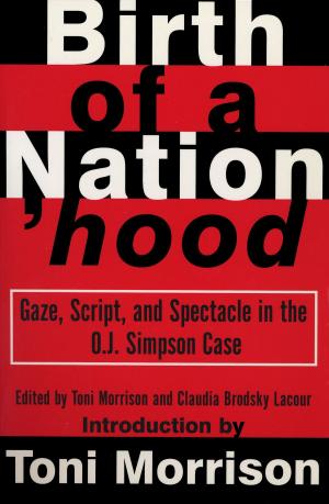 Cover of the book Birth of a Nation'hood by Elie Wiesel