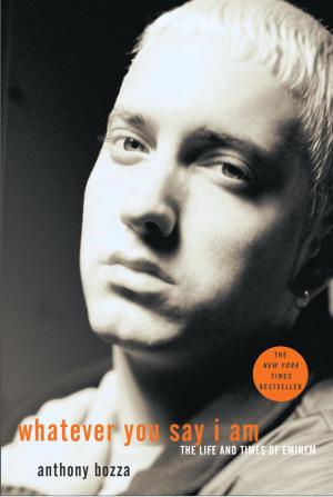 Book cover of Whatever You Say I Am