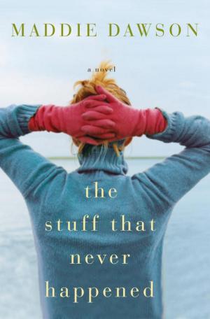 Cover of the book The Stuff That Never Happened by Sheryl Fawcett