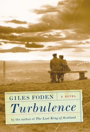 Cover of the book Turbulence by Diana Lesire Brandmeyer