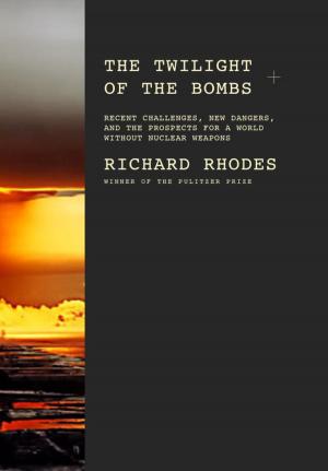 Book cover of The Twilight of the Bombs
