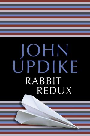 Cover of the book Rabbit Redux by Robin White