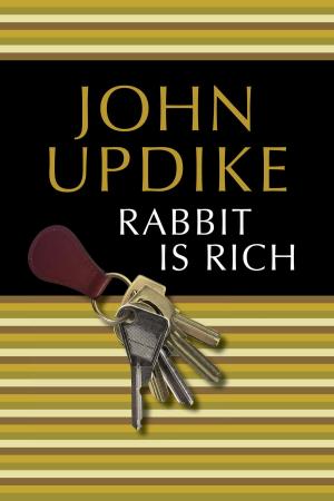 Cover of the book Rabbit Is Rich by Albert Espinosa