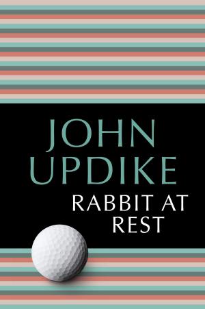 Book cover of Rabbit at Rest