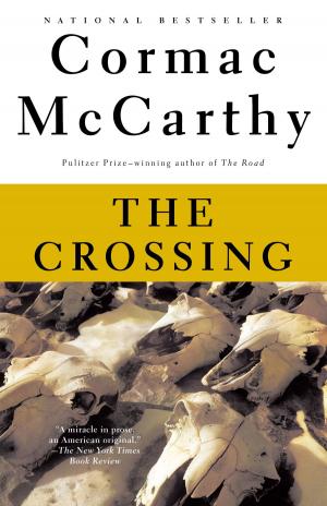 Cover of the book The Crossing by John Banville