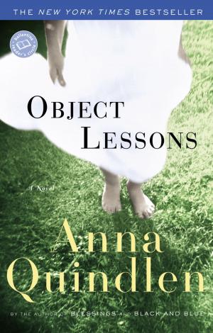 Cover of the book Object Lessons by Tony Crisp
