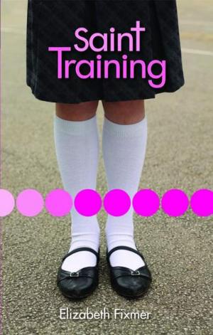 Book cover of Saint Training