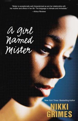 Cover of the book A Girl Named Mister by Robert  E. Webber