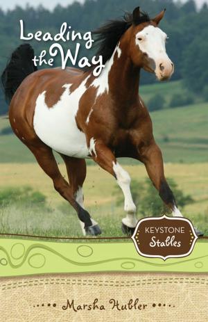 Cover of the book Leading the Way by Nancy N. Rue