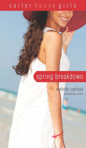 Cover of the book Spring Breakdown by John Ortberg