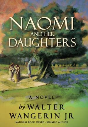 Cover of the book Naomi and Her Daughters by Amy Clipston
