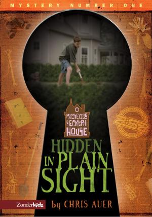 Book cover of Hidden in Plain Sight