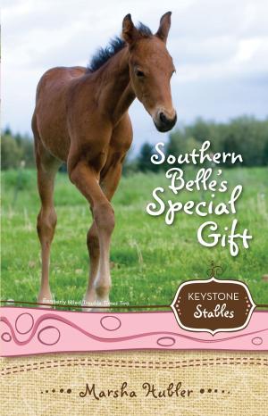 Cover of the book Southern Belle's Special Gift by Doris Wynbeek Rikkers