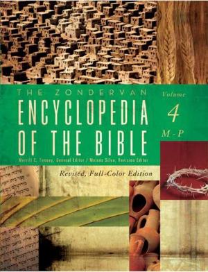 Cover of the book The Zondervan Encyclopedia of the Bible, Volume 4 by Rachel Macy Stafford