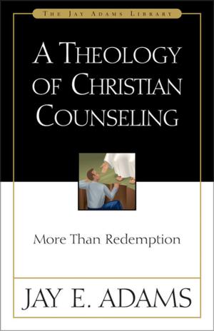 Cover of the book A Theology of Christian Counseling by Ann Spangler, Shari MacDonald, Zondervan