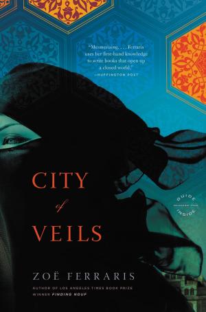 Book cover of City of Veils